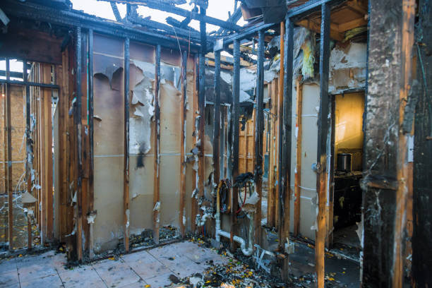 Professional Fire Damage Repair technician working in Maitland, FL