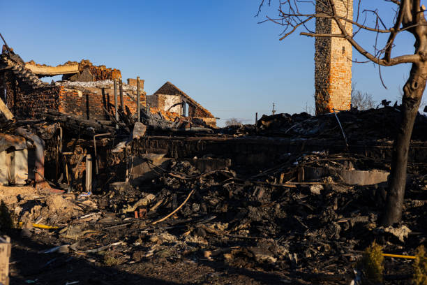 Reliable Fire Damage Repair contractor in Maitland, FL by Fire Damage Doption